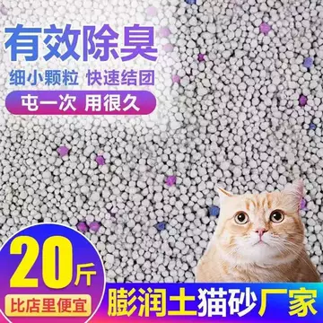 宠物训练技巧分享
